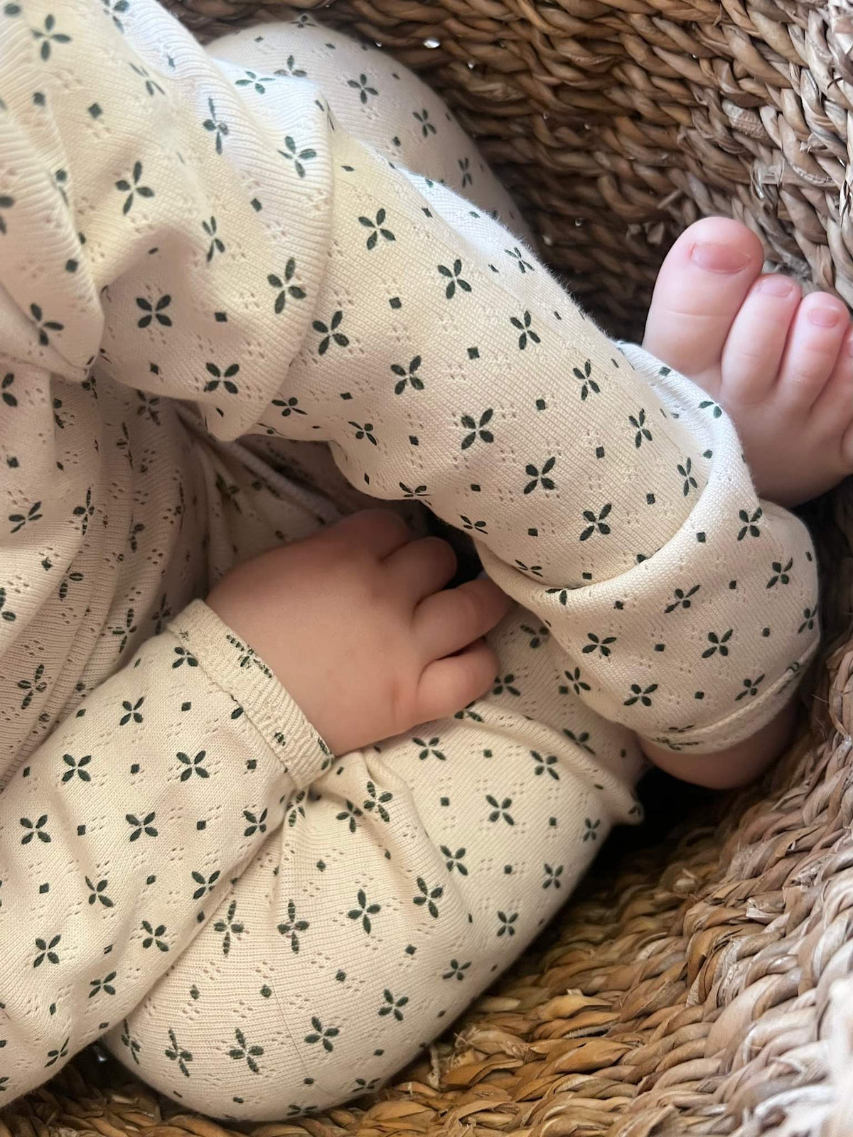jersey body - little petals
