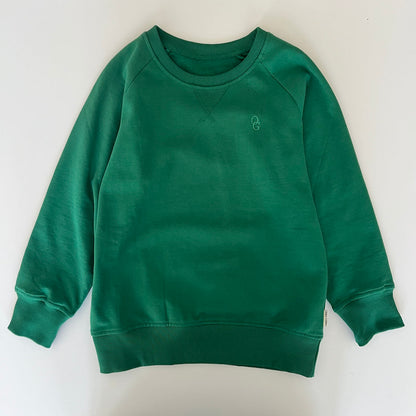 Nobel sweatshirt - clear blue og grass green
