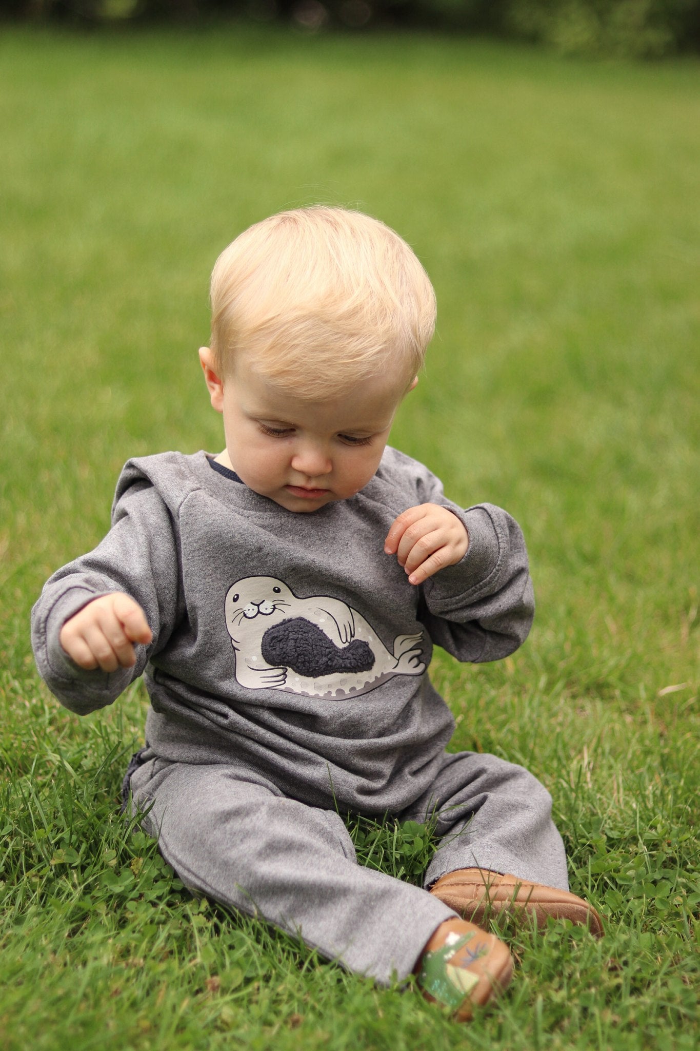 Louie sweat bluse med sæl og knaplukning - gray melange